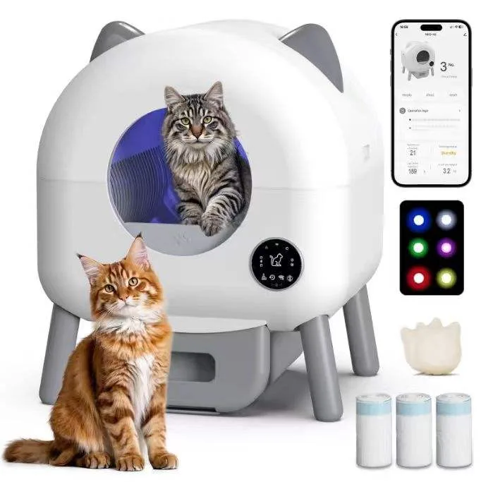 When the Cloud Fails: Smart Pet Feeder Outage Lessons for B2B Buyers