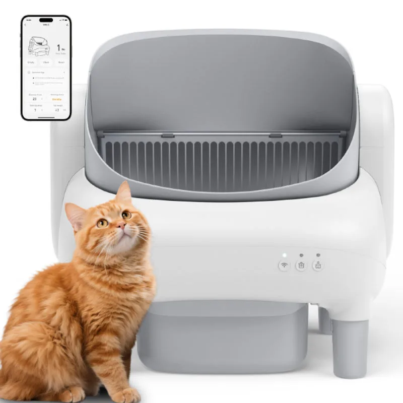 Smart Feeders and Cat Care: Lessons From the 'Flock, But For Cats' Moment