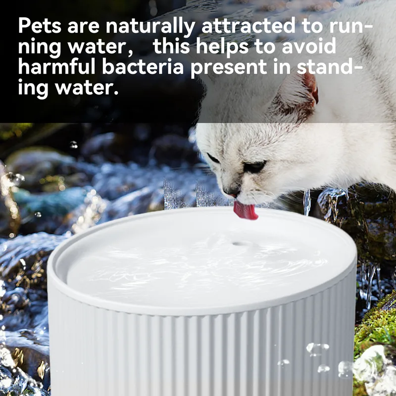 Fuente de Agua Ultra Silenciosa para Gatos 67oz/2L con Filtro de Carbón para Gatos y Perros Pequeños