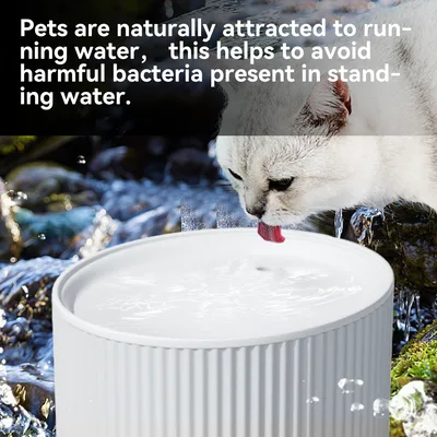 Ultra Silent Cat Water Fountain 67oz/2L Carbon Filter for Cats Small Dogs