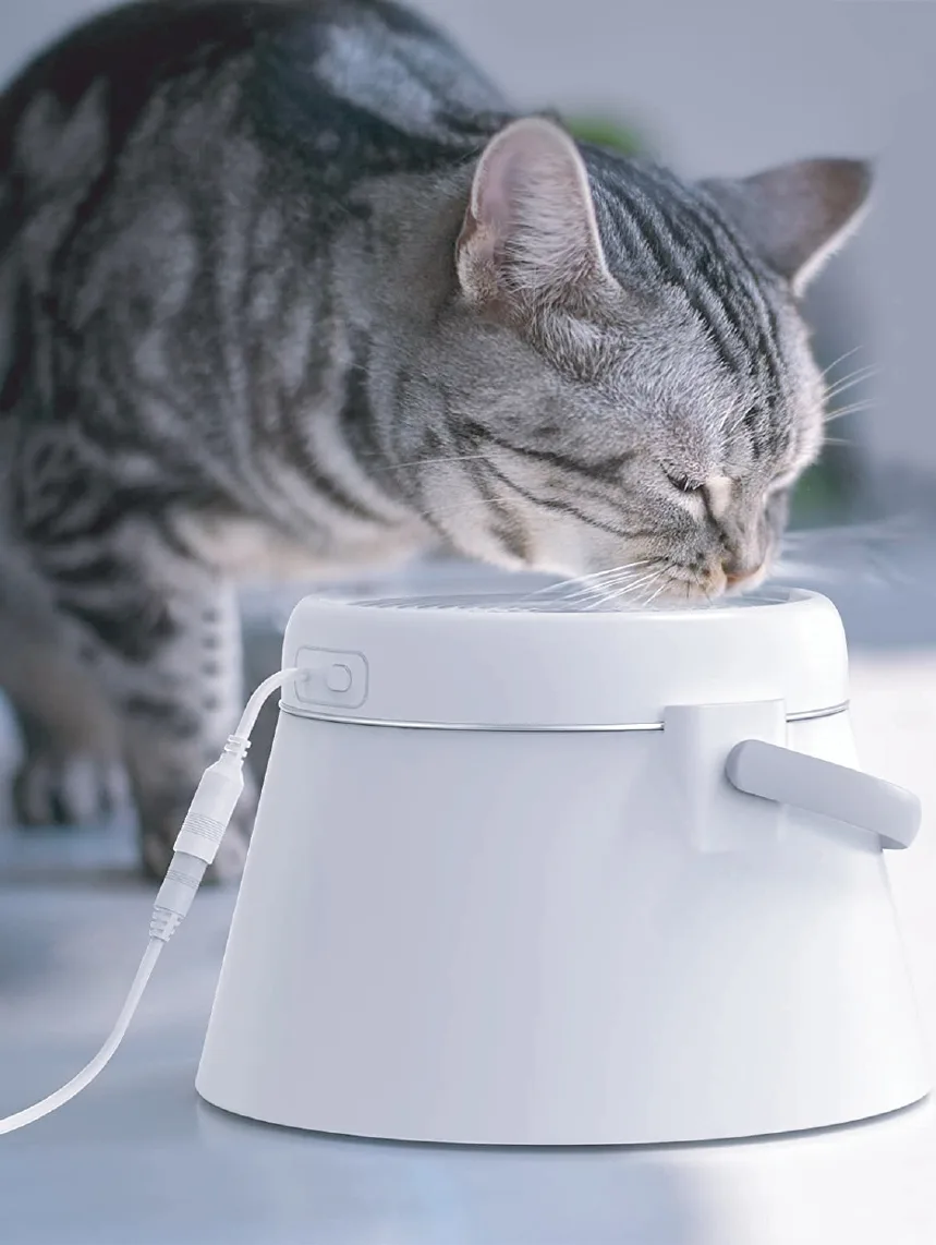 Fontaine à eau pour chat en acier inoxydable – Distributeur automatique d'eau pour animaux avec bol