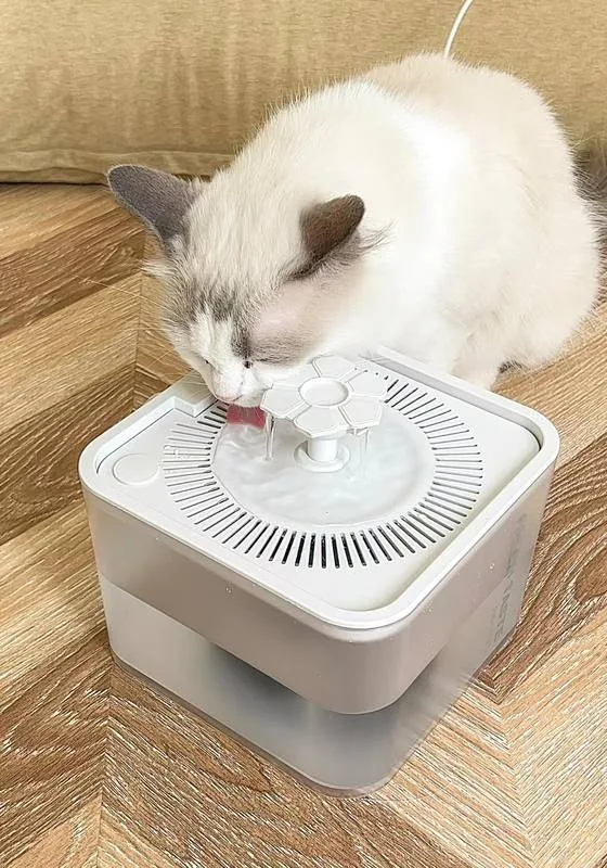 Private Label Pet Water Fountain 2.5L CE/RoHS – OEM-Großhandelslieferant