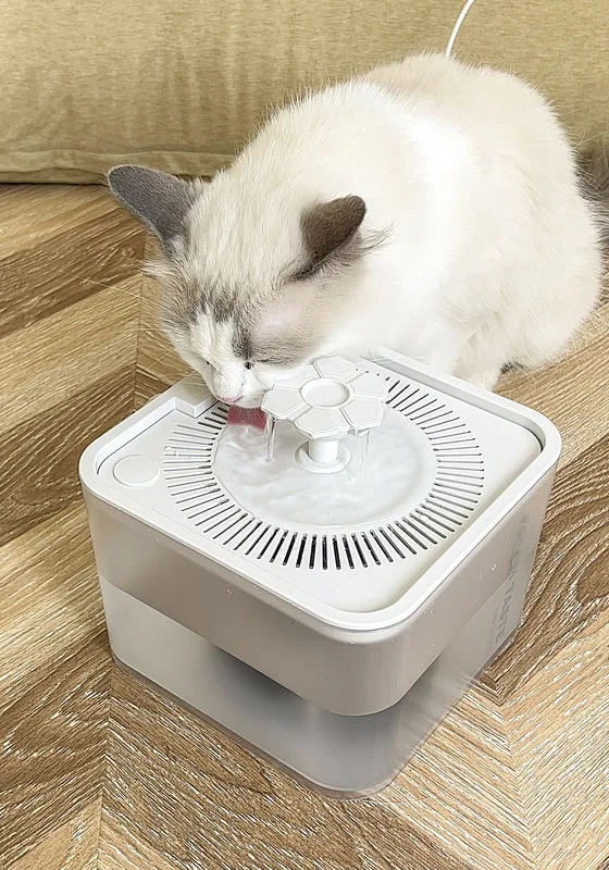 Private Label Pet Water Fountain 2.5L CE/RoHS – OEM-Großhandelslieferant