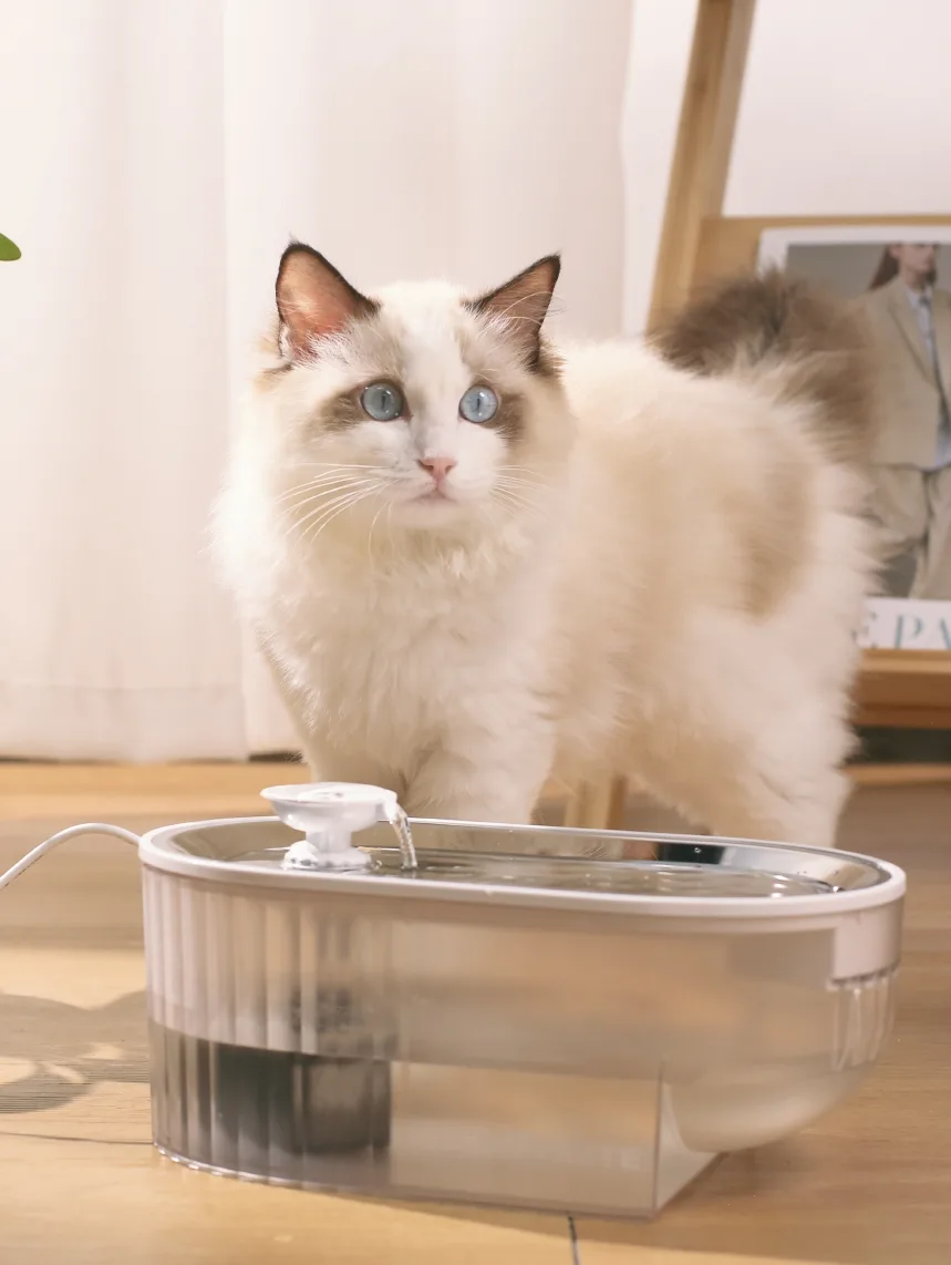 Großhandel Kabelloser Katzen-Trinkbrunnen 2200mAh – OEM/ODM kabellos - detail