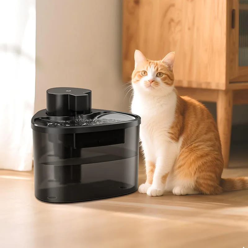 The 2026 Compliance Countdown: A Smart Pet Feeder Buyer's Preparation Timeline