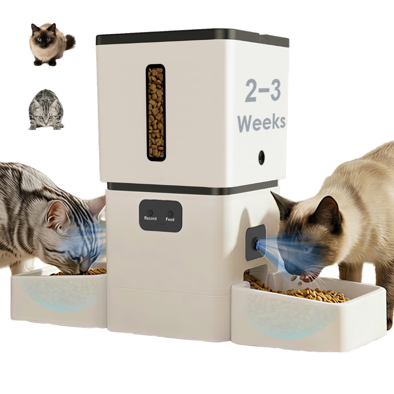 Sourcing OEM Pet Products from China: What Buyers Should Verify - illustration 1