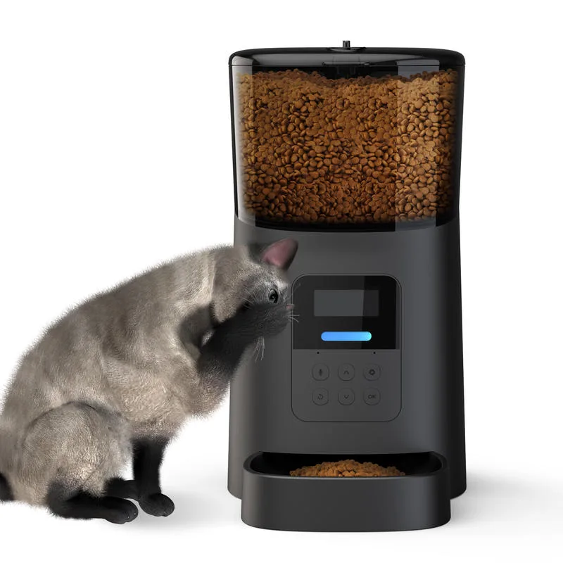 Distributeur automatique de nourriture pour animaux 6L minuté à dosage quantitatif, alimenté par adaptateur, pour chiens et chats