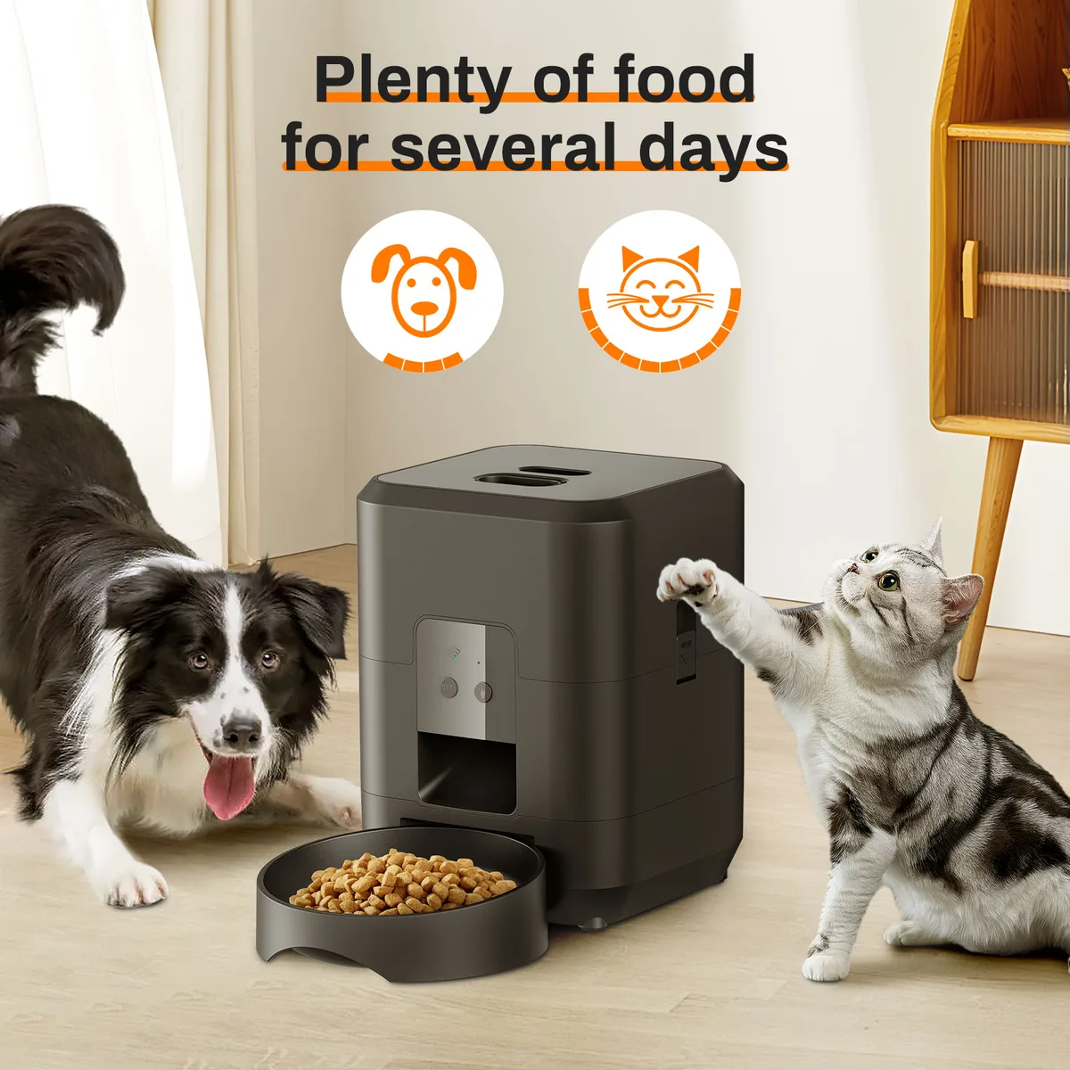 2L Intelligenter Katzenfutterautomat – Automatischer Trockenfutterspender für Hunde mit Timer und APP-Steuerung - detail