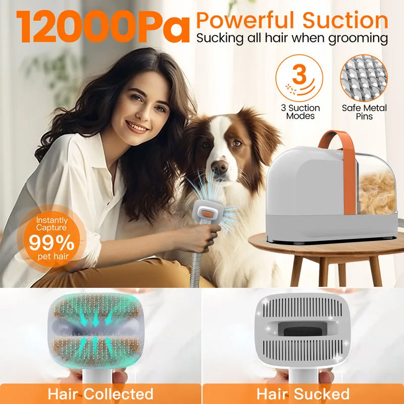 Aspirateur de Toilettage pour Animaux en Gros 12000Pa – Fabricant OEM Private Label