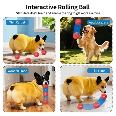 Smart Pet Toy Rolling Ball Motion Activated Rechargeable ETPU with Remote