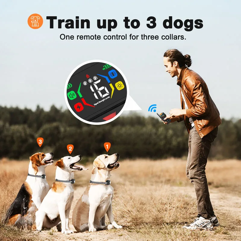 Collare educativo per cani impermeabile IPX6 con telecomando smart e luce LED - detail