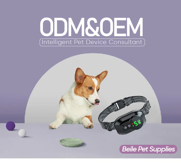 Collar de adiestramiento para perros IP67 impermeable, alcance de 1600ft, antibark, recargable - detail