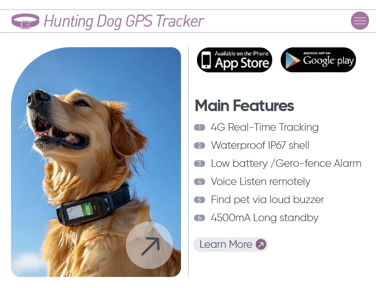 Collar de adiestramiento para perros IP67 impermeable, alcance de 1600ft, antibark, recargable - detail