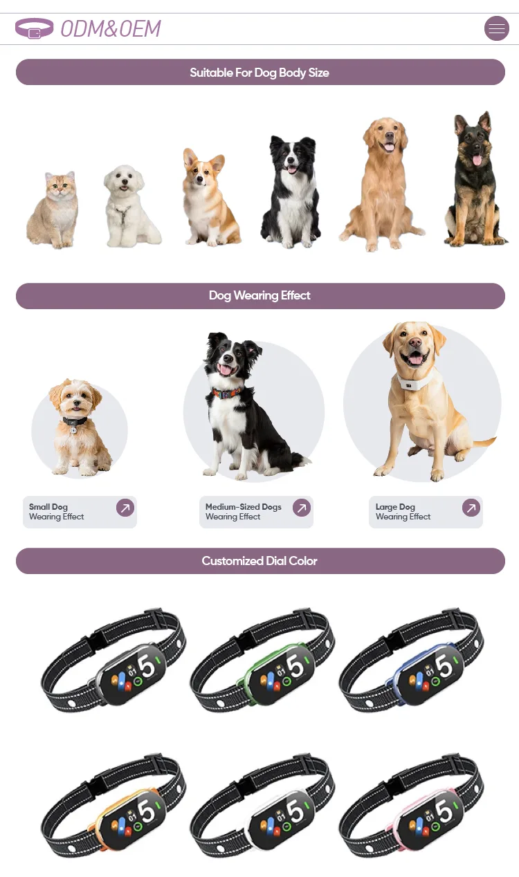 Collar de adiestramiento para perros IP67 impermeable, alcance de 1600ft, antibark, recargable - detail